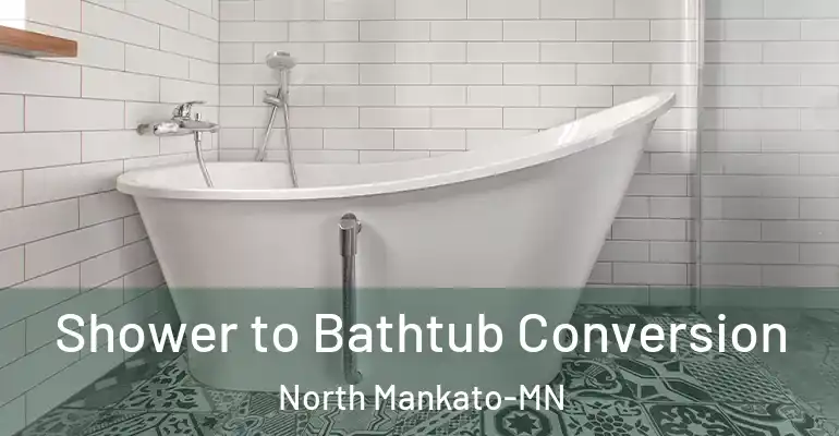 inner Bathroom imggen Shower to Bathtub Conversion North Mankato-MN