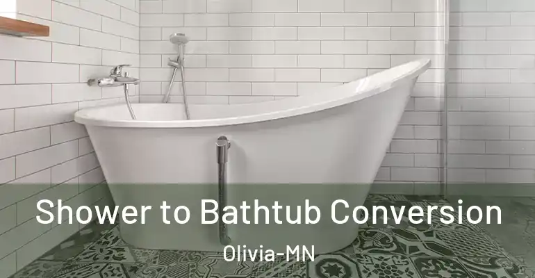 inner Bathroom imggen Shower to Bathtub Conversion Olivia-MN