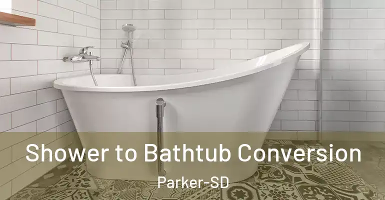 inner Bathroom imggen Shower to Bathtub Conversion Parker-SD
