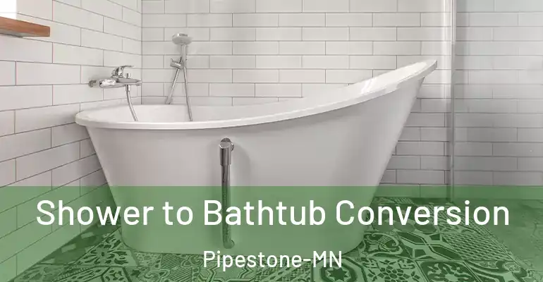 inner Bathroom imggen Shower to Bathtub Conversion Pipestone-MN