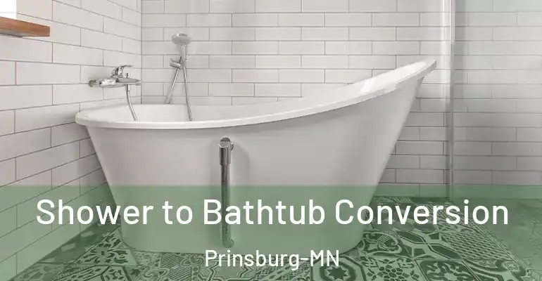 inner Bathroom imggen Shower to Bathtub Conversion Prinsburg-MN