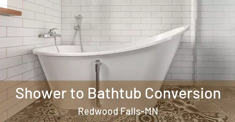 inner Bathroom imggen Shower to Bathtub Conversion Redwood Falls-MN