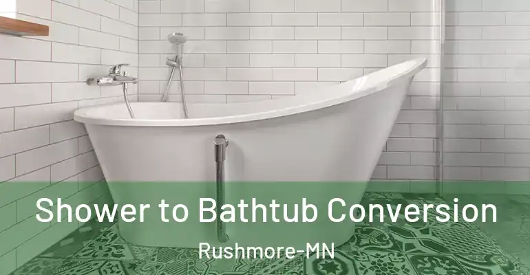 inner Bathroom imggen Shower to Bathtub Conversion Rushmore-MN