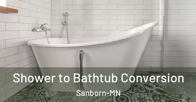 inner Bathroom imggen Shower to Bathtub Conversion Sanborn-MN