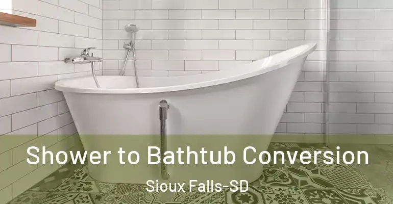 inner Bathroom imggen Shower to Bathtub Conversion Sioux Falls-SD