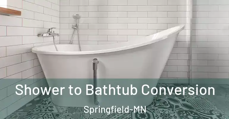 inner Bathroom imggen Shower to Bathtub Conversion Springfield-MN