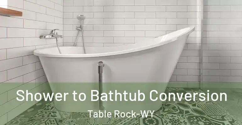 inner Bathroom imggen Shower to Bathtub Conversion Table Rock-WY
