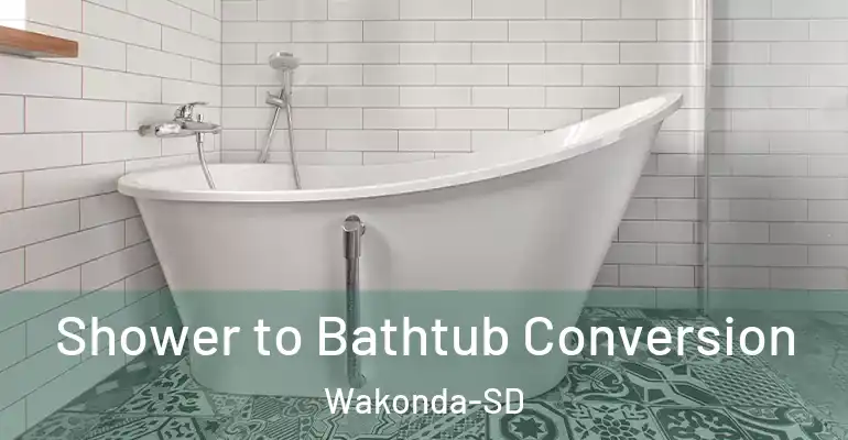 inner Bathroom imggen Shower to Bathtub Conversion Wakonda-SD