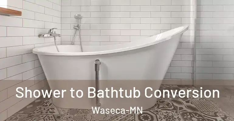 inner Bathroom imggen Shower to Bathtub Conversion Waseca-MN