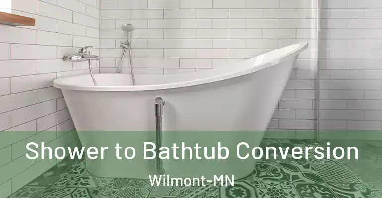 inner Bathroom imggen Shower to Bathtub Conversion Wilmont-MN