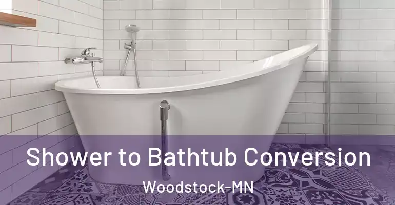 inner Bathroom imggen Shower to Bathtub Conversion Woodstock-MN