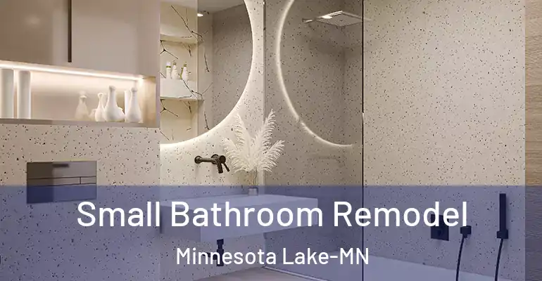 inner Bathroom imggen Small Bathroom Remodel Minnesota Lake-MN