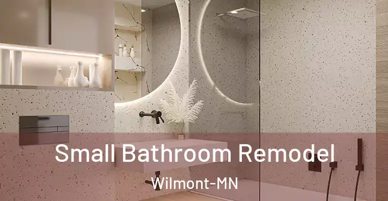 inner Bathroom imggen Small Bathroom Remodel Wilmont-MN