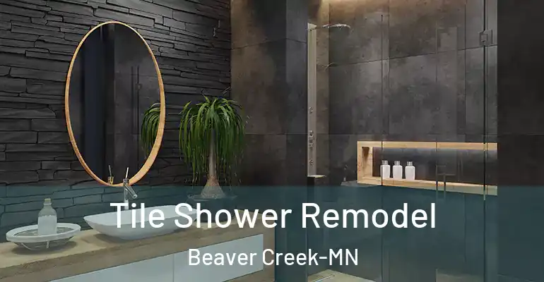 inner Bathroom imggen Tile Shower Remodel Beaver Creek-MN