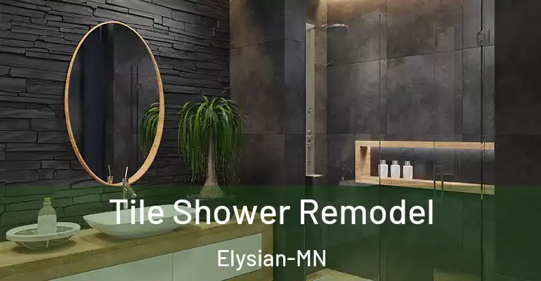 inner Bathroom imggen Tile Shower Remodel Elysian-MN