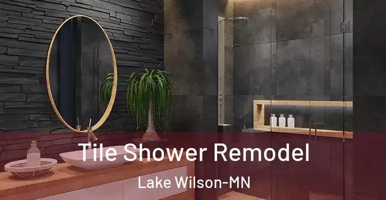 inner Bathroom imggen Tile Shower Remodel Lake Wilson-MN