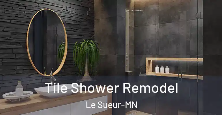inner Bathroom imggen Tile Shower Remodel Le Sueur-MN