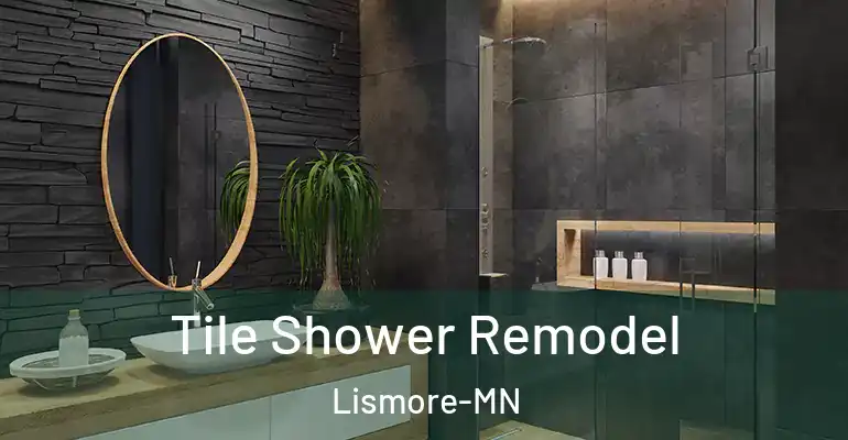 inner Bathroom imggen Tile Shower Remodel Lismore-MN