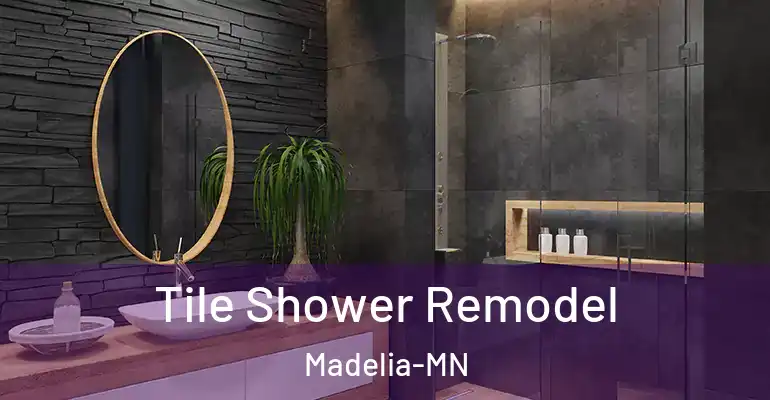 inner Bathroom imggen Tile Shower Remodel Madelia-MN