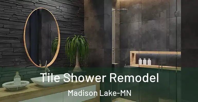 inner Bathroom imggen Tile Shower Remodel Madison Lake-MN
