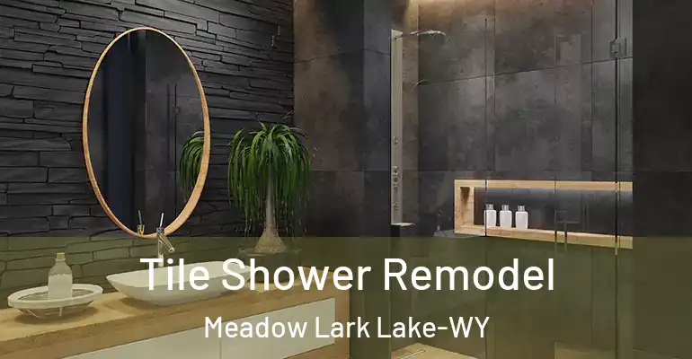 inner Bathroom imggen Tile Shower Remodel Meadow Lark Lake-WY