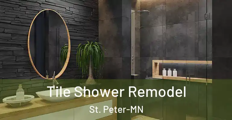 inner Bathroom imggen Tile Shower Remodel St. Peter-MN