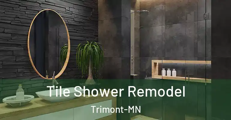inner Bathroom imggen Tile Shower Remodel Trimont-MN