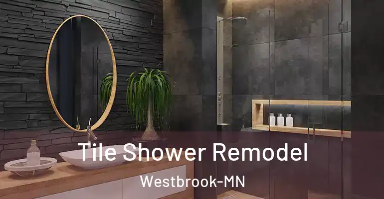 inner Bathroom imggen Tile Shower Remodel Westbrook-MN