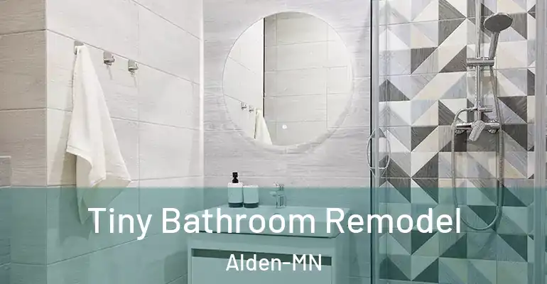 inner Bathroom imggen Tiny Bathroom Remodel Alden-MN