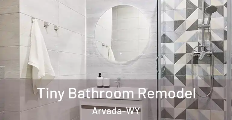 inner Bathroom imggen Tiny Bathroom Remodel Arvada-WY