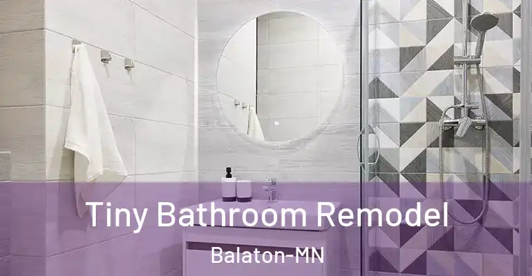 inner Bathroom imggen Tiny Bathroom Remodel Balaton-MN