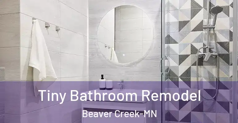 inner Bathroom imggen Tiny Bathroom Remodel Beaver Creek-MN