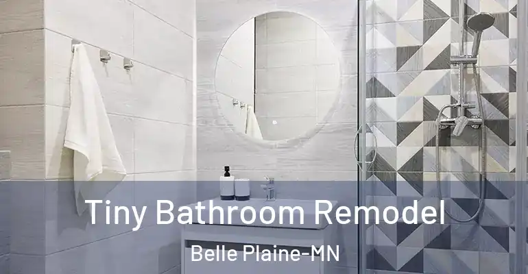 inner Bathroom imggen Tiny Bathroom Remodel Belle Plaine-MN