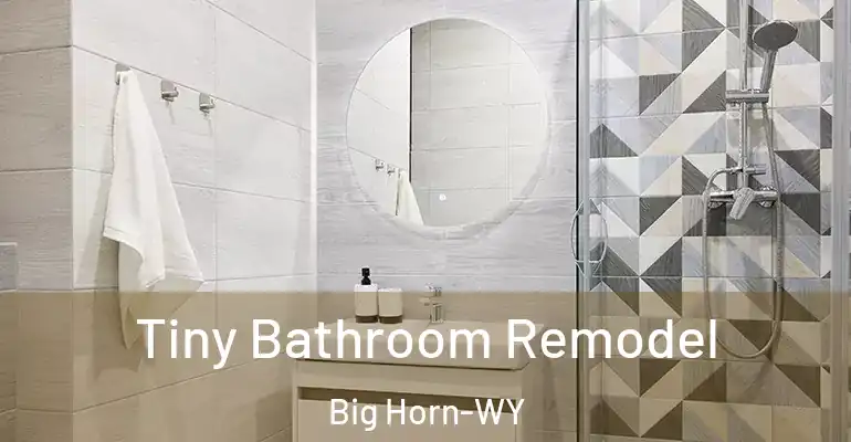inner Bathroom imggen Tiny Bathroom Remodel Big Horn-WY