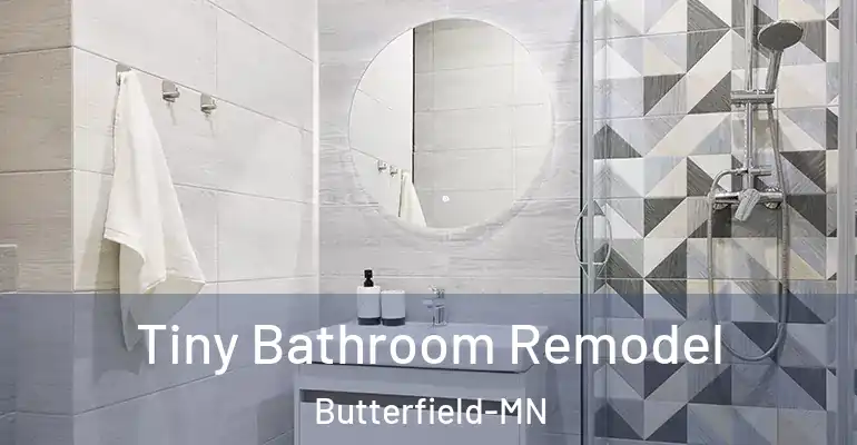 inner Bathroom imggen Tiny Bathroom Remodel Butterfield-MN