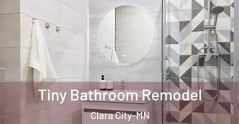 inner Bathroom imggen Tiny Bathroom Remodel Clara City-MN