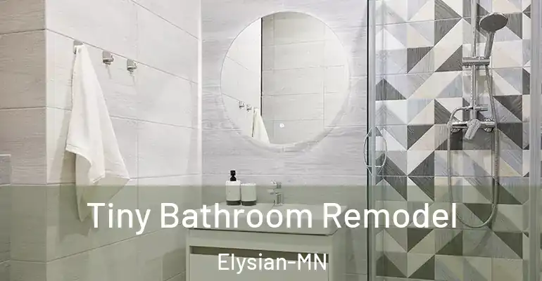 inner Bathroom imggen Tiny Bathroom Remodel Elysian-MN
