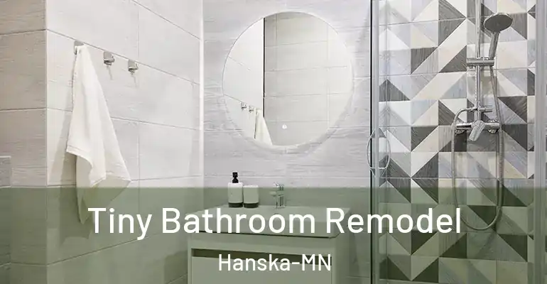 inner Bathroom imggen Tiny Bathroom Remodel Hanska-MN