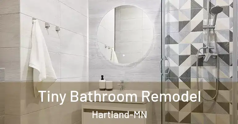 inner Bathroom imggen Tiny Bathroom Remodel Hartland-MN
