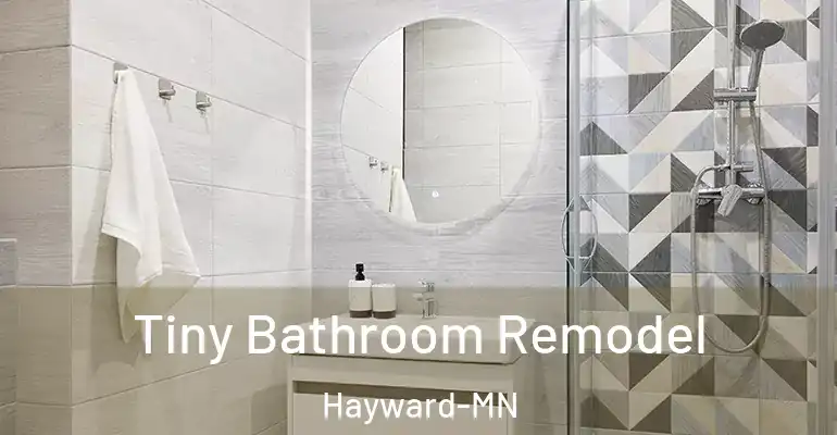 inner Bathroom imggen Tiny Bathroom Remodel Hayward-MN