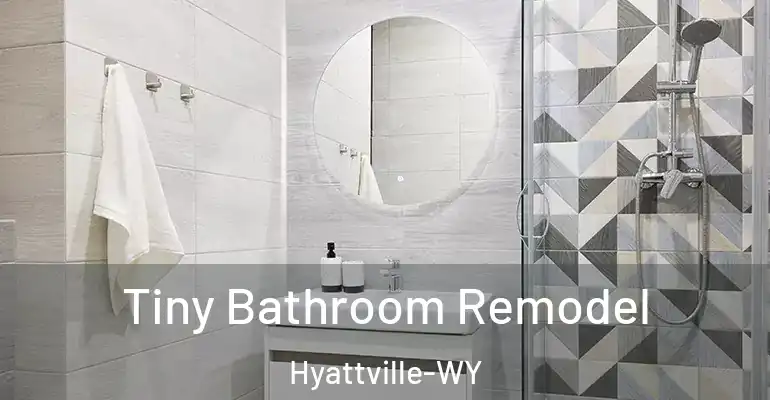 inner Bathroom imggen Tiny Bathroom Remodel Hyattville-WY