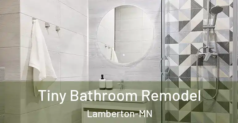 inner Bathroom imggen Tiny Bathroom Remodel Lamberton-MN
