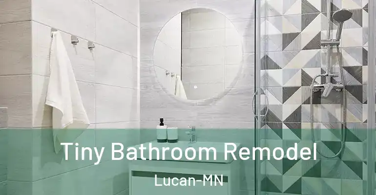 inner Bathroom imggen Tiny Bathroom Remodel Lucan-MN