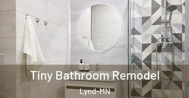 inner Bathroom imggen Tiny Bathroom Remodel Lynd-MN