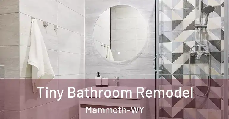 inner Bathroom imggen Tiny Bathroom Remodel Mammoth-WY