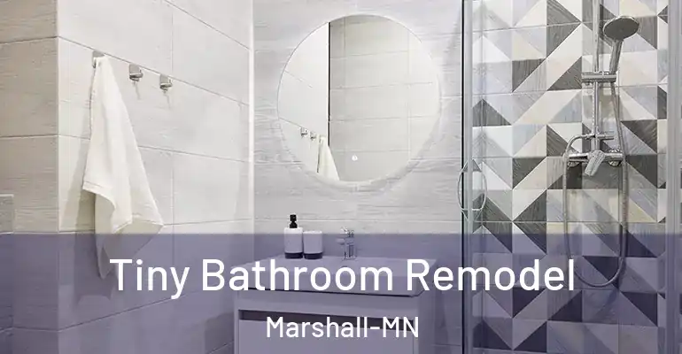 inner Bathroom imggen Tiny Bathroom Remodel Marshall-MN