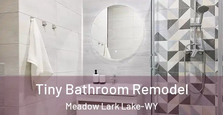 inner Bathroom imggen Tiny Bathroom Remodel Meadow Lark Lake-WY