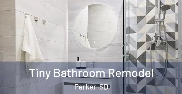inner Bathroom imggen Tiny Bathroom Remodel Parker-SD