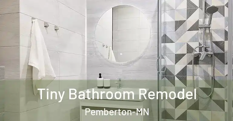 inner Bathroom imggen Tiny Bathroom Remodel Pemberton-MN