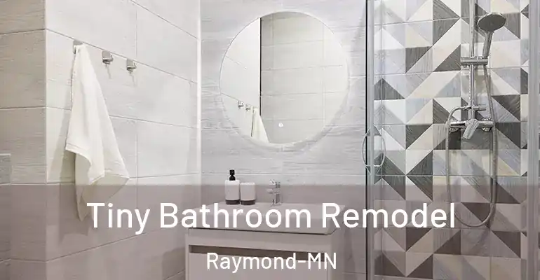 inner Bathroom imggen Tiny Bathroom Remodel Raymond-MN